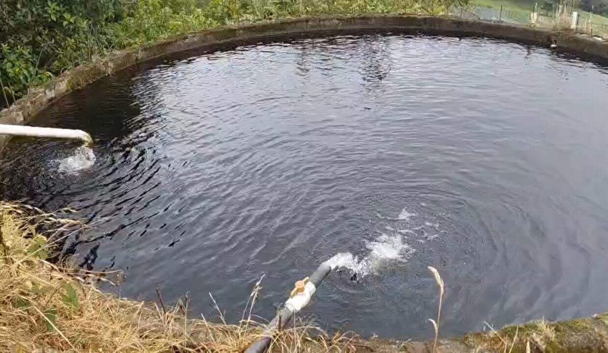 Agua propia